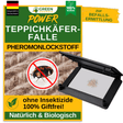 Carpet beetle trap