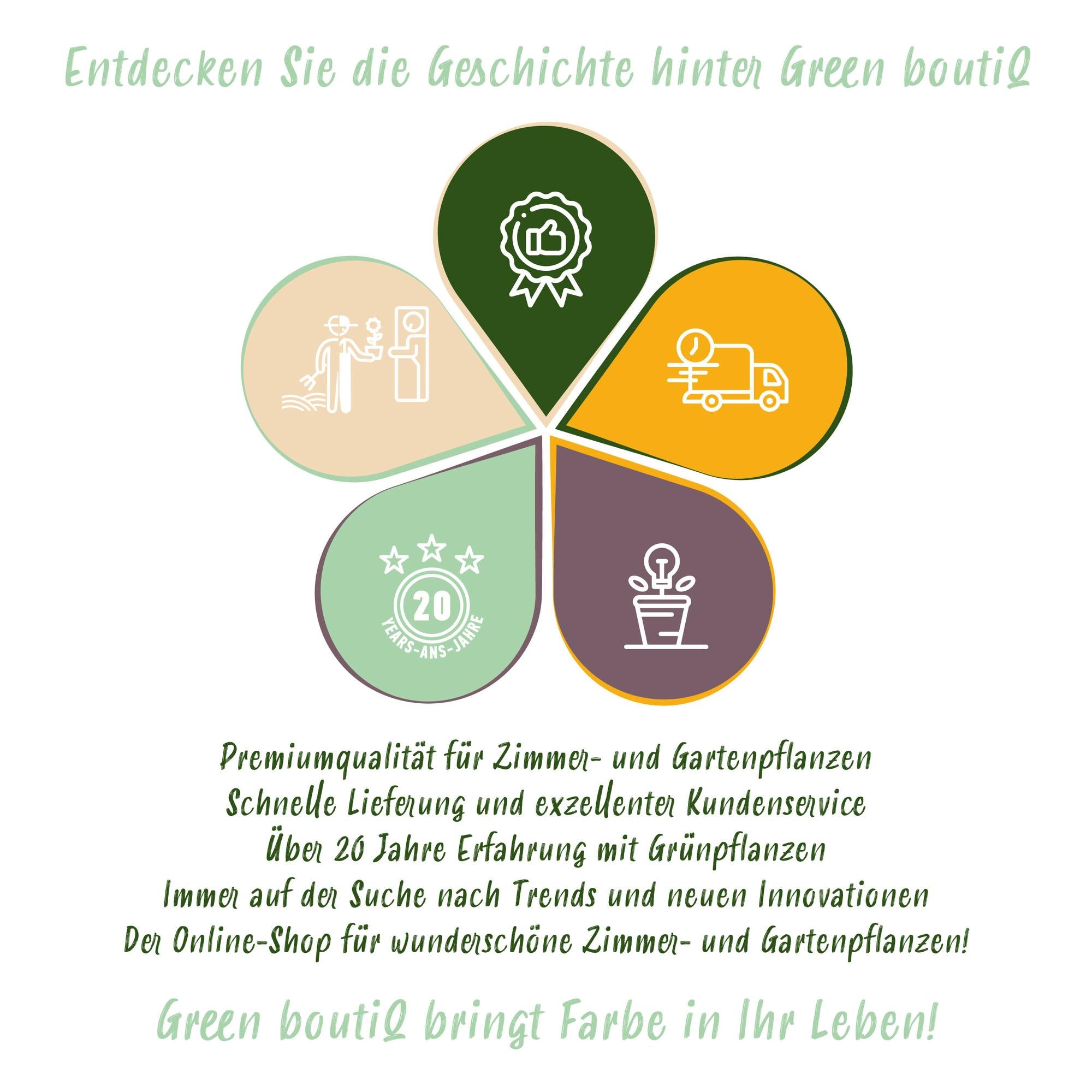 Hibiscus 'Hamabo' – deciduo, fioritura rosa chiaro, vaso da 17 cm, altezza 45 cm