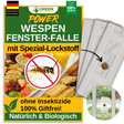 Wasp window trap