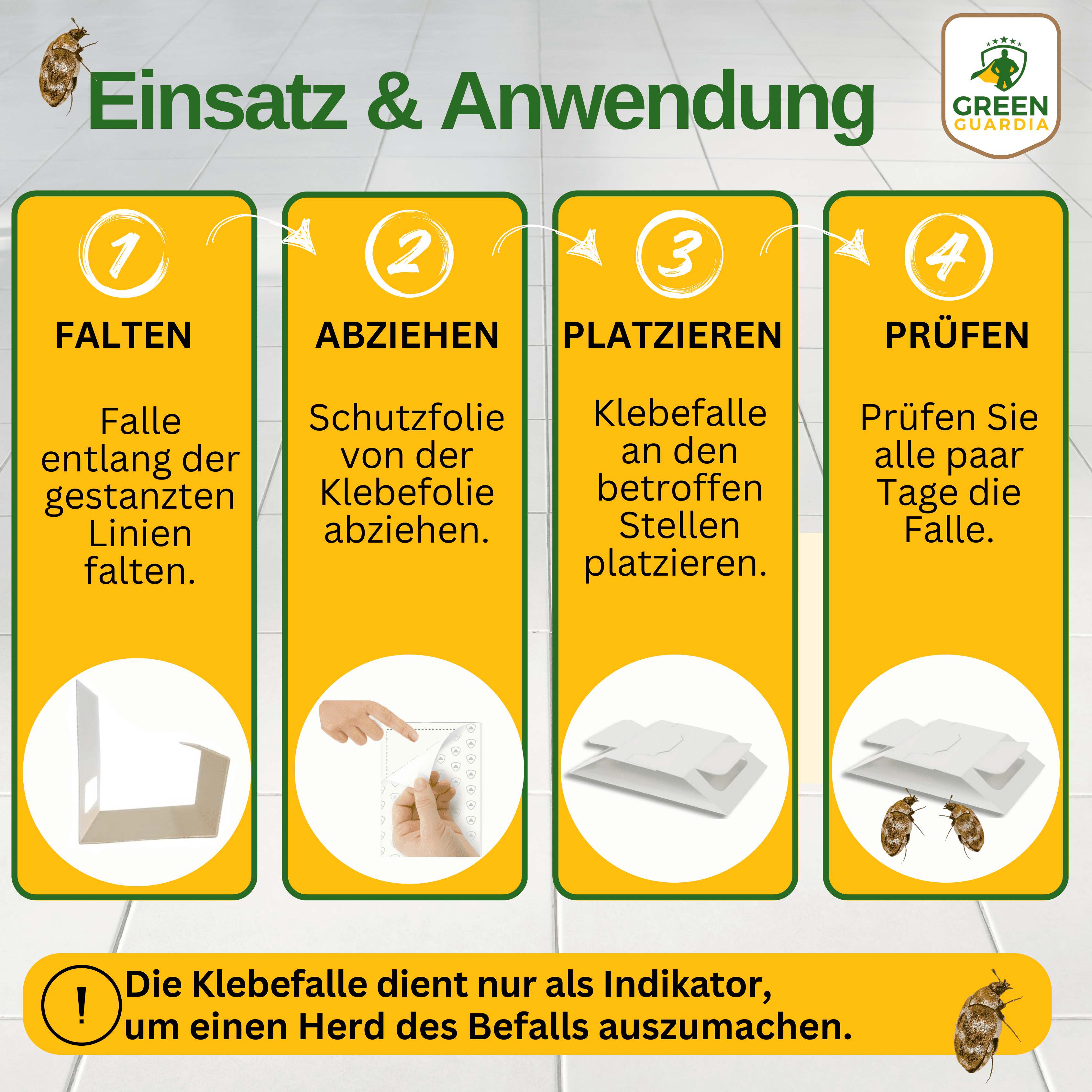 Wollkrautblütenkäfer Falle mit Spezial - Lockstoff - Green Guardia - Ihr Experte für Schädlinge und Pflanzen