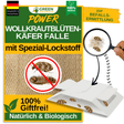 Woolly carpet beetle trap