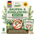 XenTari® Zünslerfrei & Raupenfrei, 2 x 3g